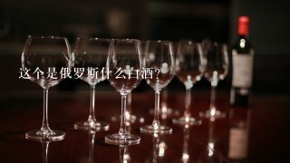 这个是俄罗斯什么白酒？