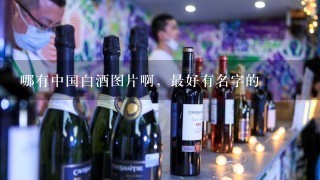 哪有中国白酒图片啊，最好有名字的