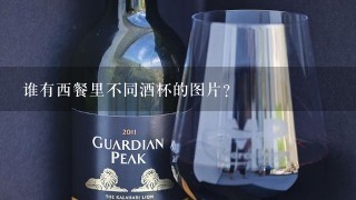 谁有西餐里不同酒杯的图片？