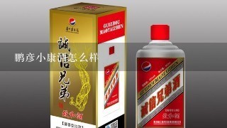 鹏彦小康酒怎么样