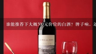 谁能推荐下大概500元价位的白酒？牌子响，还能拿得出手？