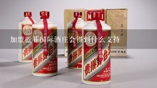 加盟蓝菲国际酒庄会得到什么支持