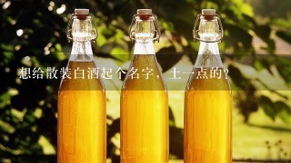 想给散装白酒起个名字，土一点的？