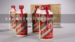 小米商城买手机可以货到付款吗