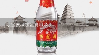 冰雪蜜城加盟费用多少