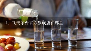 飞天茅台官方旗舰店在哪里