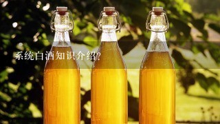 系统白酒知识介绍?