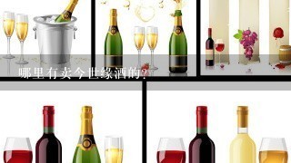 哪里有卖今世缘酒的？