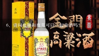 请问鹿鞭和鹿茸可以一起泡酒吗？