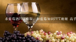 求蓝莓酒PPT模版。和蓝莓知识PPT谢谢 高手了