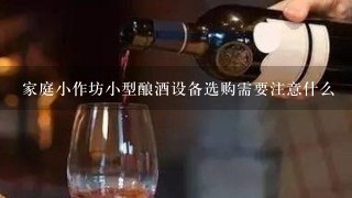 家庭小作坊小型酿酒设备选购需要注意什么