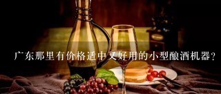 广东那里有价格适中又好用的小型酿酒机器？