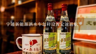 宇通新能源洒水车怎样设置定速巡航