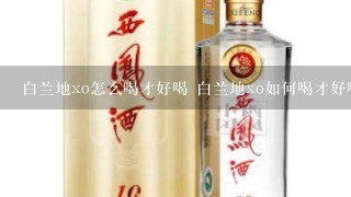 白兰地xo怎么喝才好喝 白兰地xo如何喝才好喝