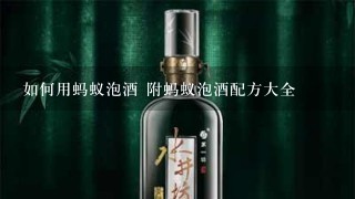 如何用蚂蚁泡酒 附蚂蚁泡酒配方大全