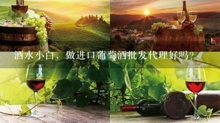 酒水小白，做进口葡萄酒批发代理好吗？