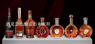 酒是怎么酿造出来流程