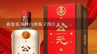 我要装各种白酒瓶子图片大全