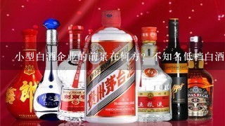 小型白酒企业的前景在何方？不知名低档白酒如何成活？