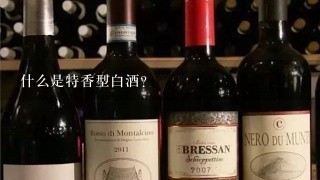 什么是特香型白酒?