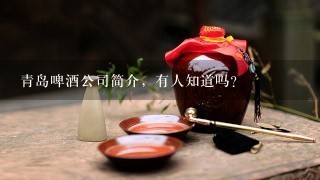 青岛啤酒公司简介，有人知道吗？