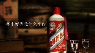 杯中好酒是什么平台