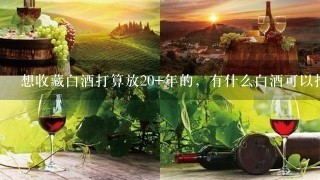 想收藏白酒打算放20 年的，有什么白酒可以推荐？