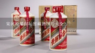 宋河原浆封坛窖藏酒图片大全？