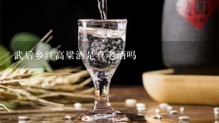 武后乡红高粱酒是真老酒吗