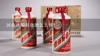 河南洛阳杜康酒怎么样？