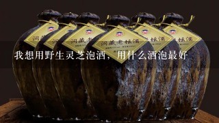 我想用野生灵芝泡酒，用什么酒泡最好