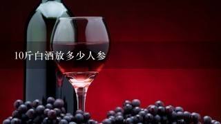 10斤白酒放多少人参