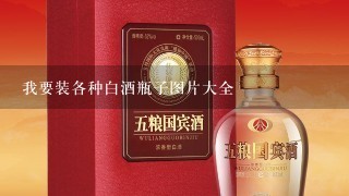 我要装各种白酒瓶子图片大全