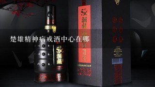 楚雄精神病戒酒中心在哪