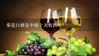 菊花白酒是中国十大名酒吗？