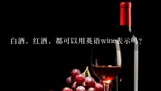 白酒，红酒，都可以用英语wine表示吗？