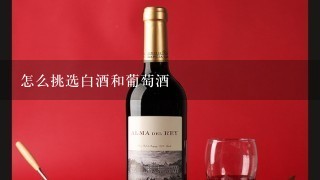 怎么挑选白酒和葡萄酒