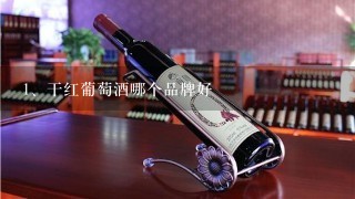 干红葡萄酒哪个品牌好