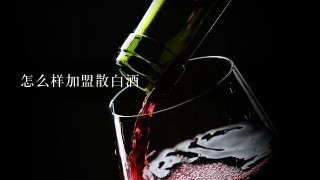 怎么样加盟散白酒