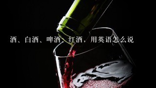 酒、白酒、啤酒、红酒，用英语怎么说