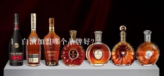 白酒加盟哪个品牌好？