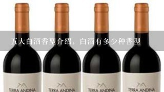 五大白酒香型介绍，白酒有多少种香型