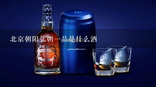 北京朝阳弘朝一品是什么酒