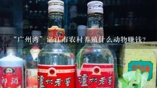 “广州湾”湛江市农村养殖什么动物赚钱？