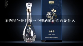 看图猜物图片像一个啤酒瓶的东西是什么