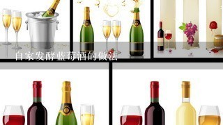 自家发酵蓝莓酒的做法