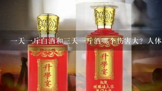 一天一斤白酒和三天一斤酒哪个伤害大？人体一天能承