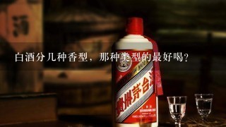 白酒分几种香型，那种类型的最好喝？