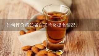 如何评价第23届白玉兰奖提名情况？