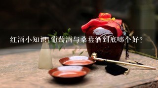 红酒小知识:葡萄酒与桑葚酒到底哪个好？